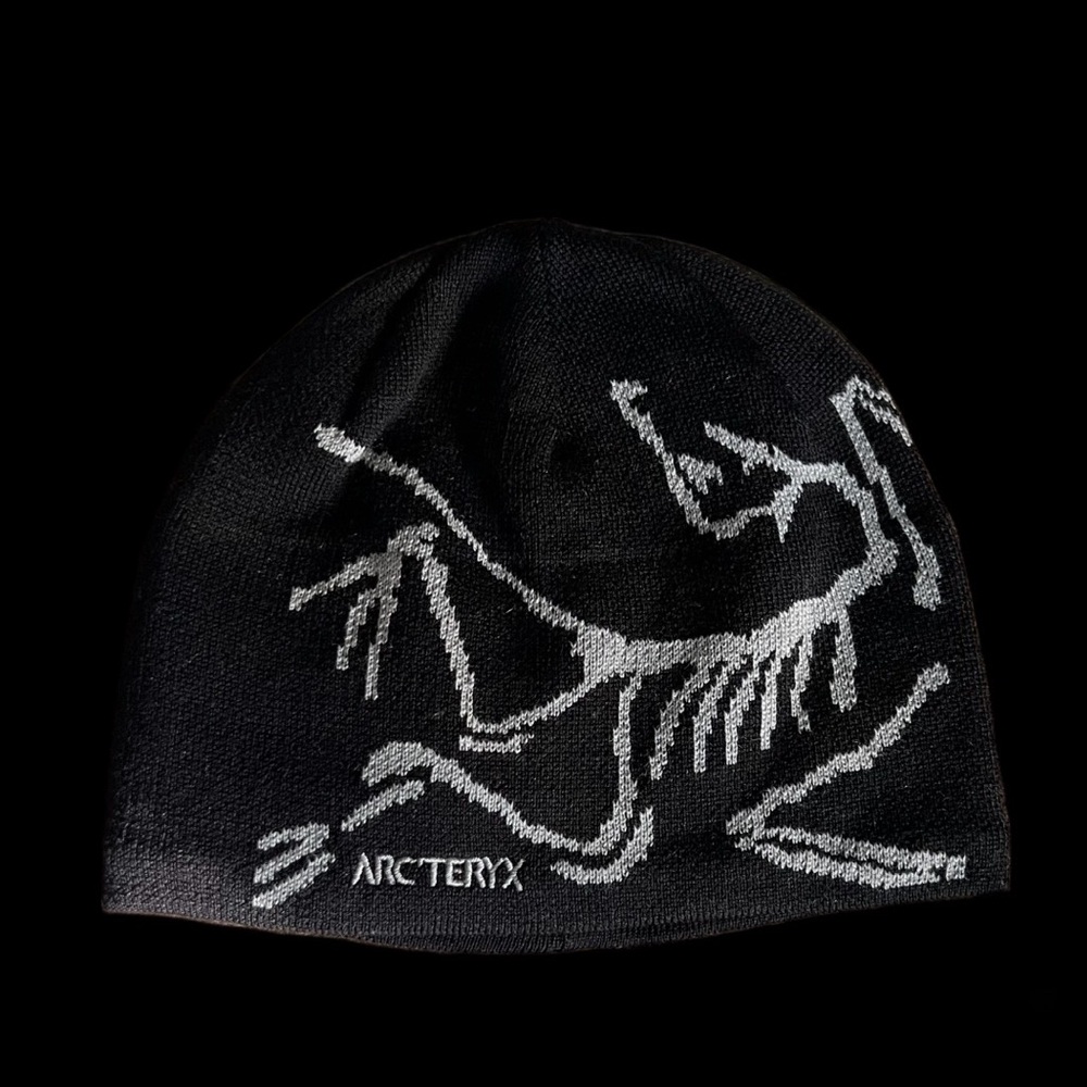 **SOLD DO NOT BUY Arc’teryx bird head toque NWOT